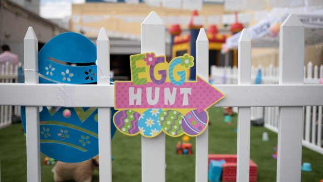 Egg-citing Easter Fun: 3 Simple Activities to Delight the Kids this Easter! 🐰