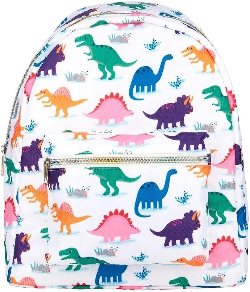 Backpack With Matching Lunch Bag