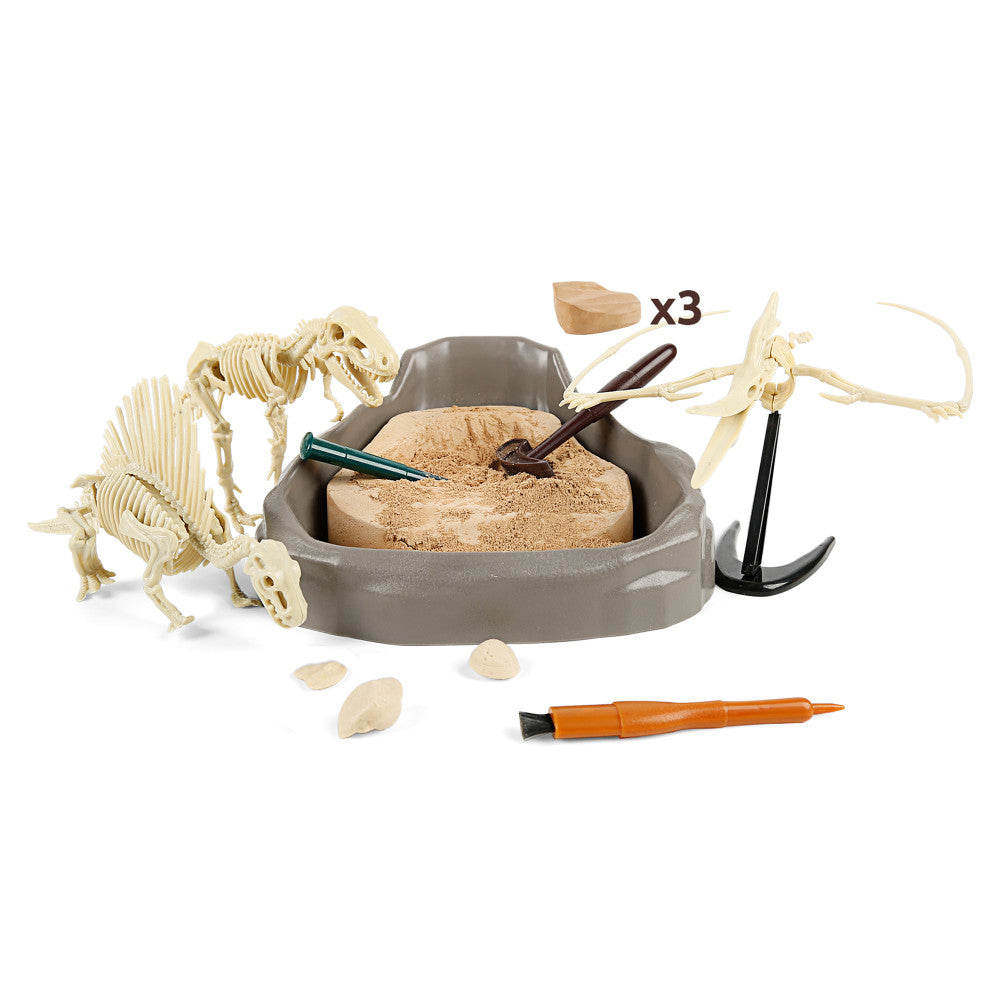 Hape Science Can Mesozoic Era Dinosaur Fossil Excavation Kit