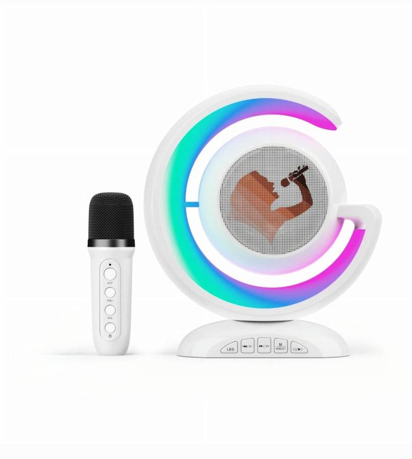 Light Show Karaoke Portable Wireless Speaker HL-110